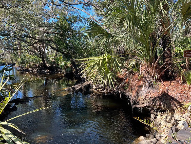Werner-Boyce Salt Springs State Park, Florida, USA